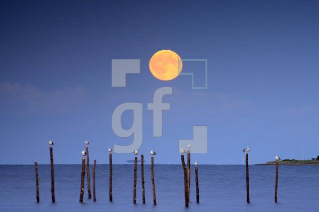 IJ31_Mond02_1105.JPG