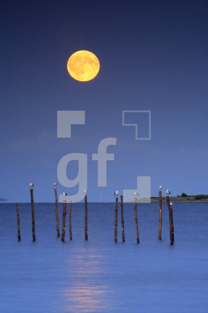IJ31_Mond03_1115.JPG