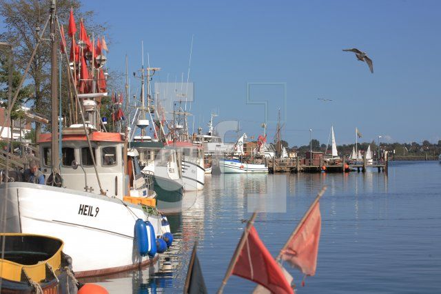 IK05_Heiligenhafen02_1344.JPG
