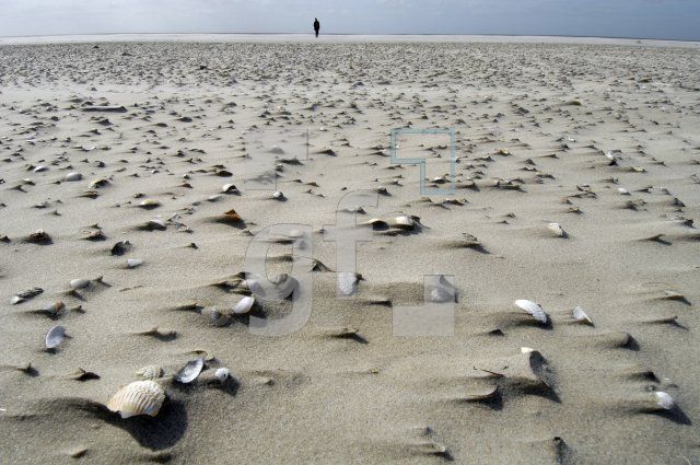 IK06_Kniepsand01_0601