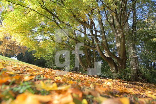 IL14_Herbst02_0195.JPG