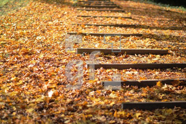 IL14_Herbst05_0115.JPG