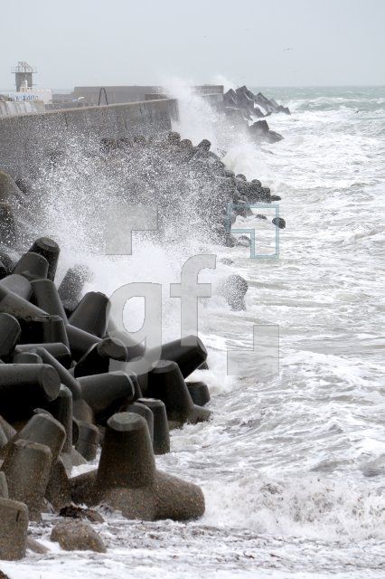 JE10_Helgoland15_0116.JPG