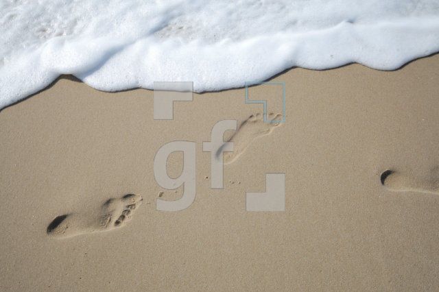 JF07_Sylt31_0158.JPG