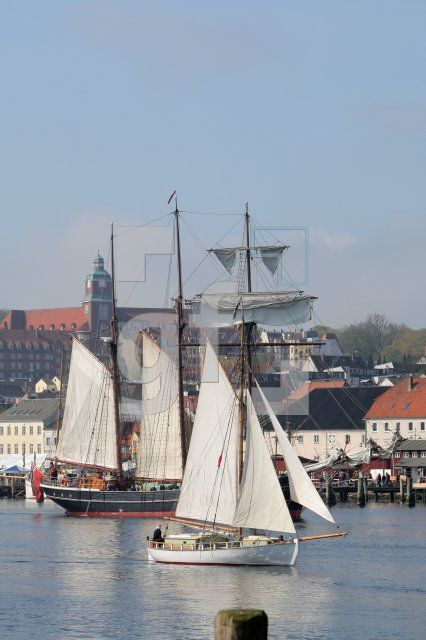 JG02_Rumregatta05_0113.JPG