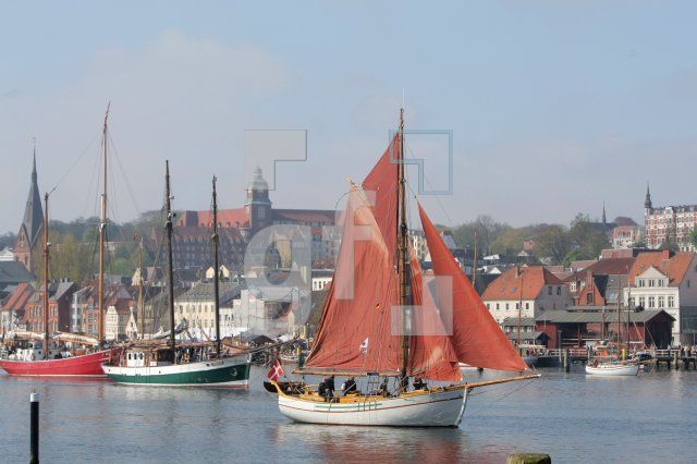 JG02_Rumregatta06_0191.JPG