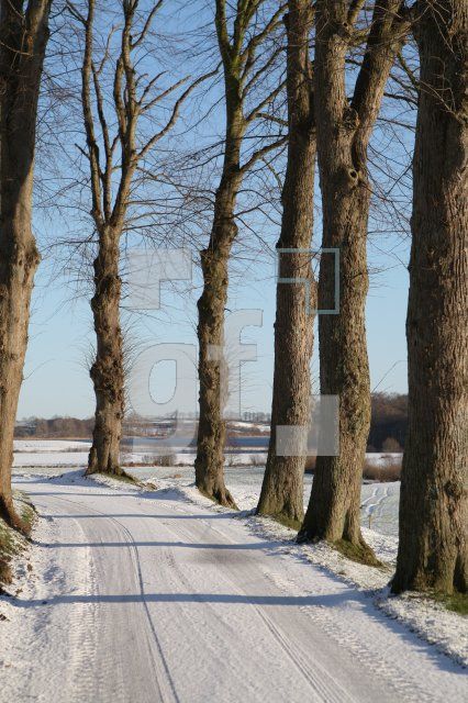 KC05_Schlei06_0159.JPG