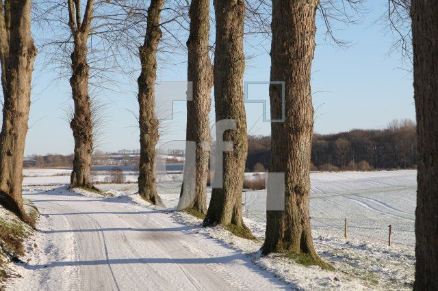 KC05_Schlei12_0160.JPG