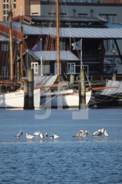 KC07_Hafen03_0184.JPG