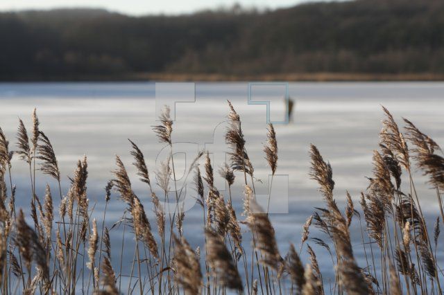KC07_Winter04_0116.JPG