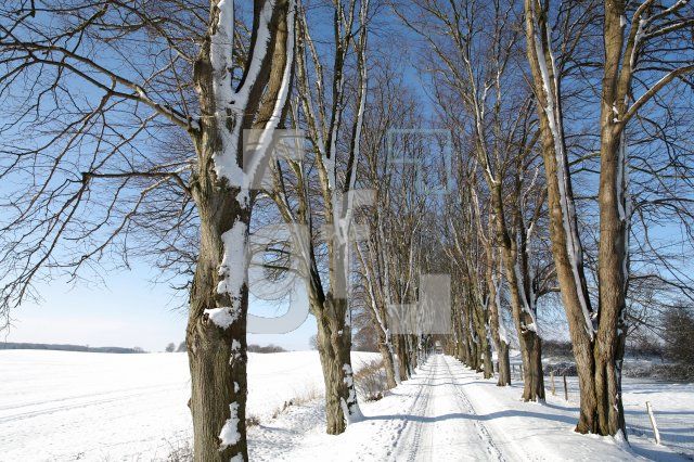 KD14_Allee04_0162.JPG