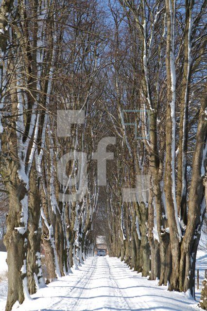 KD14_Allee09_0133.JPG