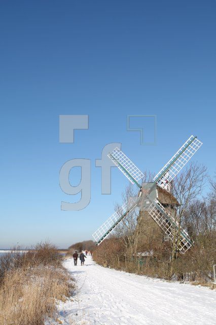 KD14_Birk04_0124.JPG