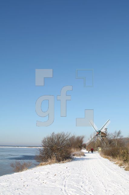 KD14_Birk05_0110.JPG