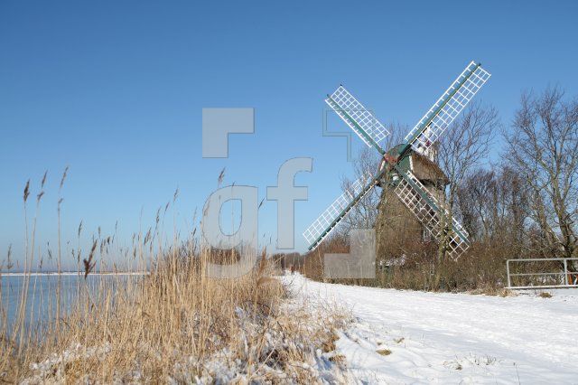KD14_Birk06_0116.JPG