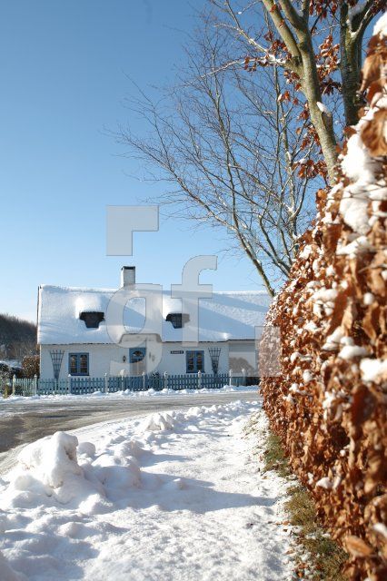KD14_Winter03_0121.JPG
