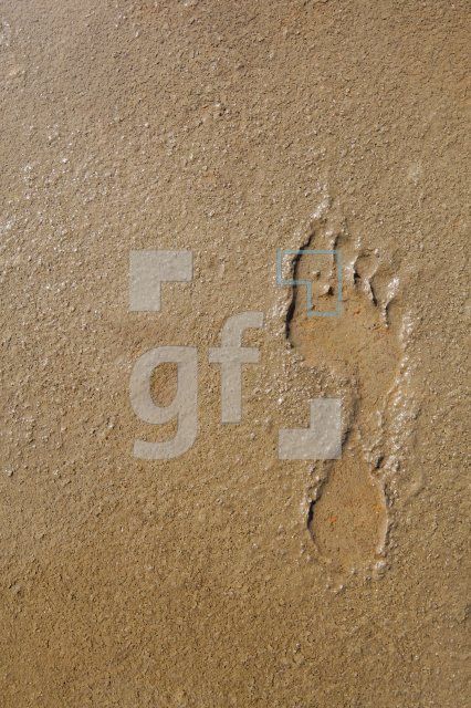 KF12_Fuss01_0173.JPG