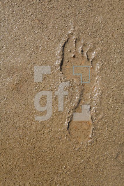 KF12_Fuss02_0172.JPG