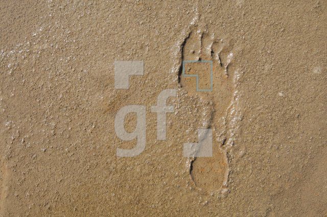 KF12_Fuss03_0171.JPG