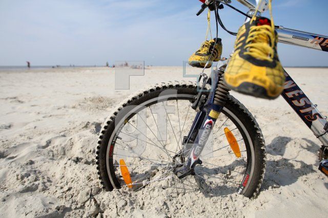 KF12_Rad04_0145.JPG
