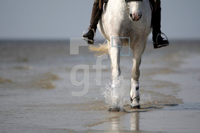 KF12_Reiten01_0145.JPG
