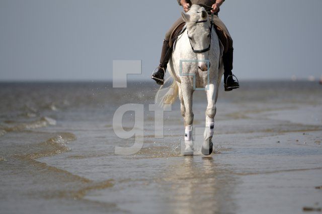 KF12_Reiten02_0129.JPG