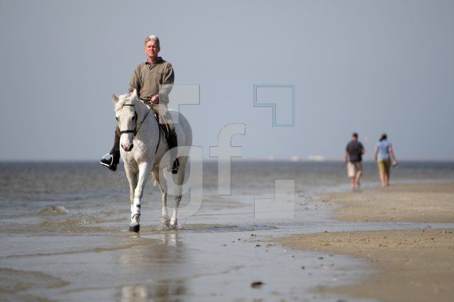KF12_Reiten05_0161.JPG