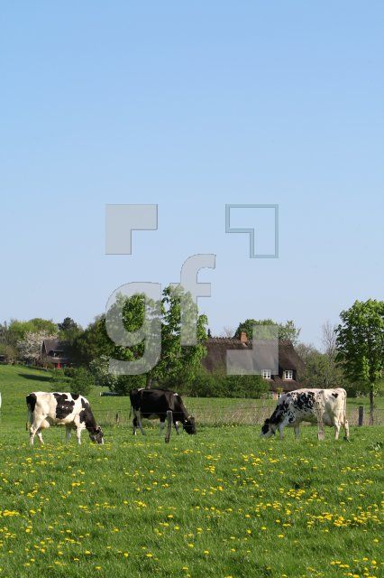 KG01_Angeln08_0110.JPG