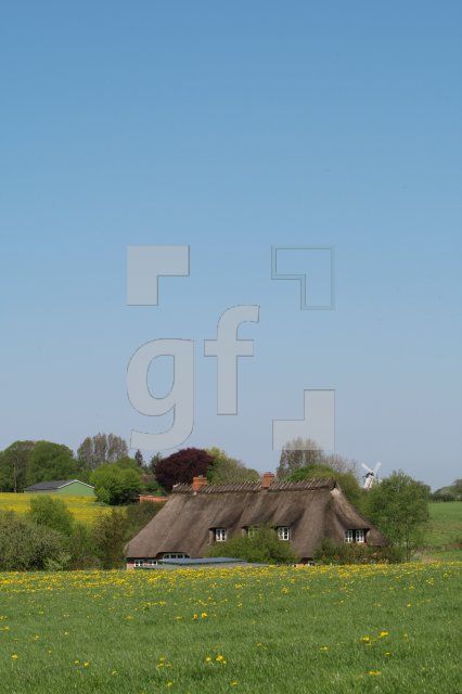 KG01_Raps28_0189.JPG