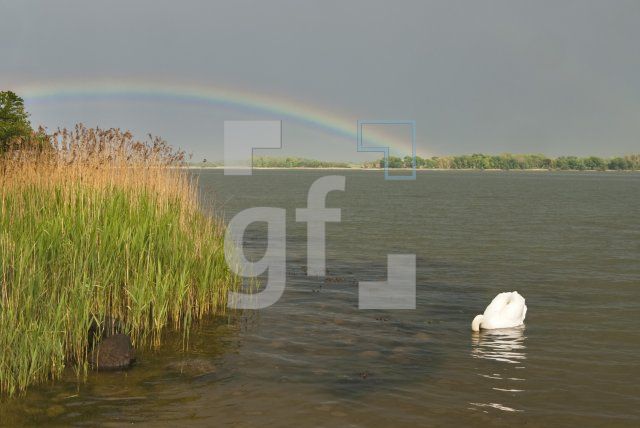 KG21_Schlei_2277.jpg