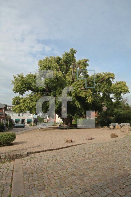 KI29_Bordesholm08_0105.JPG