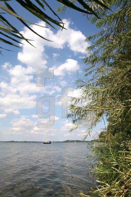 KJ23_See08_0168.JPG