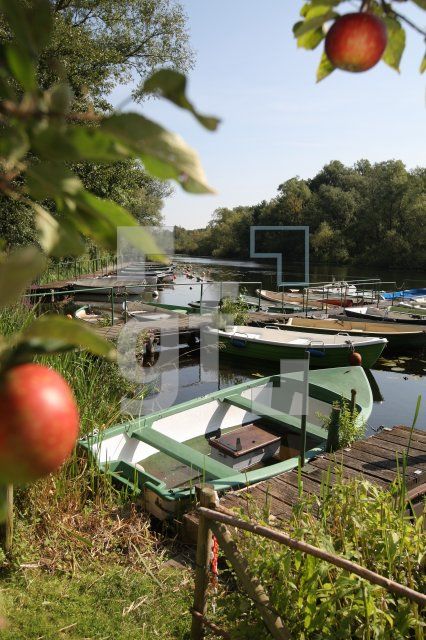 KK08_Schwentine04_0161.JPG