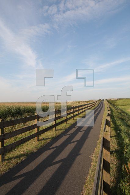KK08_Weg02_0173.JPG