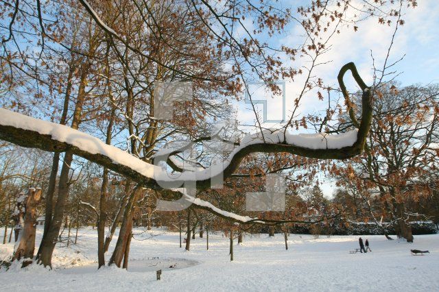 KN19_Park03_0125.JPG