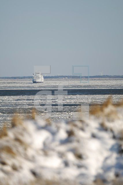LC08_Sylt20_0179.JPG