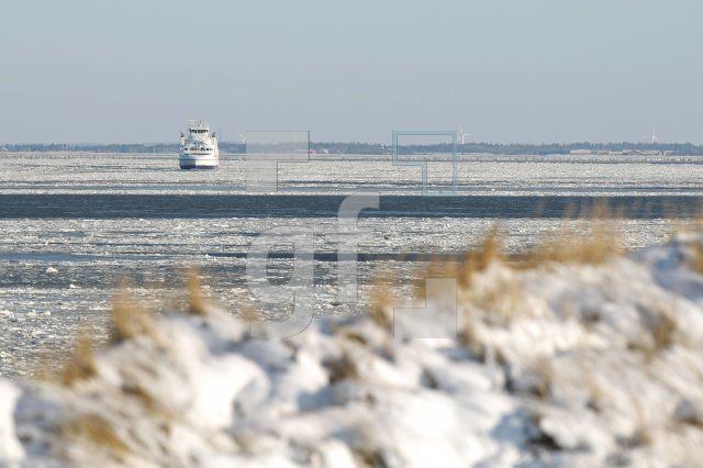 LC08_Sylt21_0177.JPG