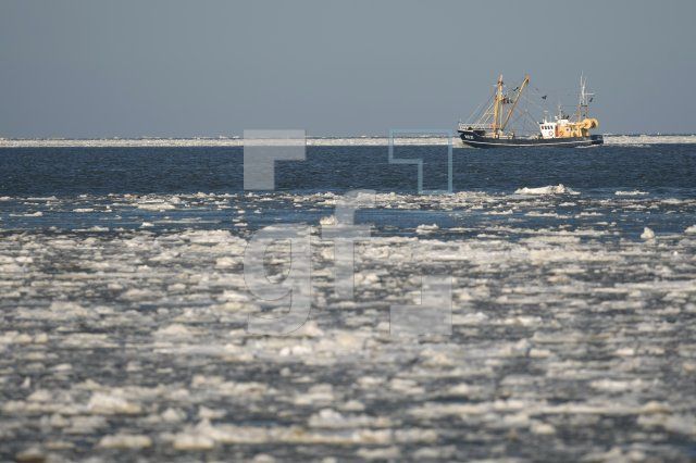 LC08_Sylt64_0177.JPG