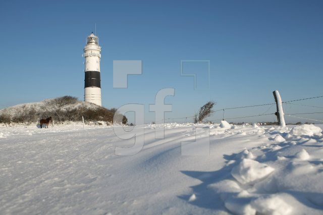 LC08_Sylt80_0145.JPG