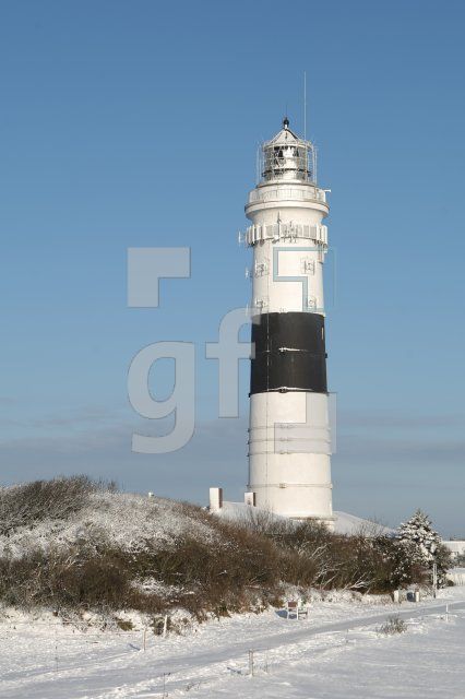 LC08_Sylt81_0142.JPG