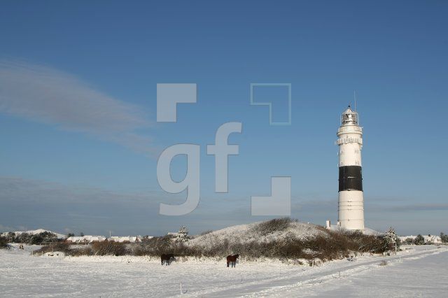 LC08_Sylt82_0139.JPG