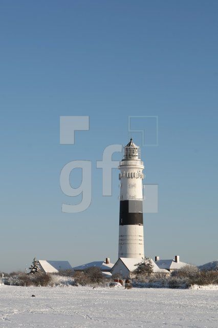 LC08_Sylt88_0133.JPG