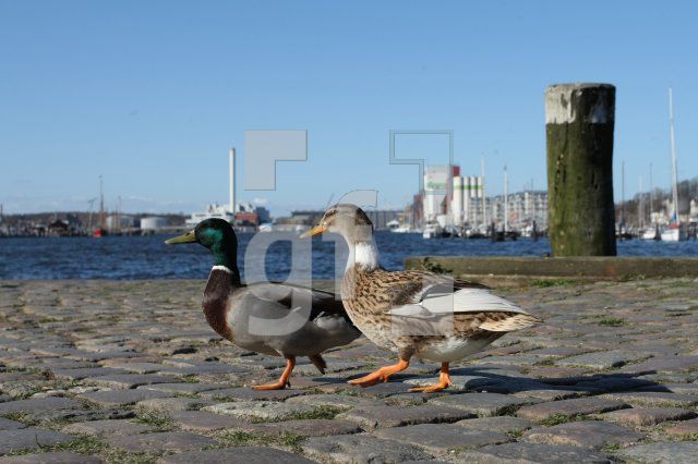 LF10_Hafen44_0163.JPG