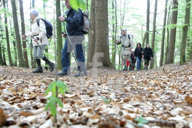 LG05_Wandern08_0137.JPG