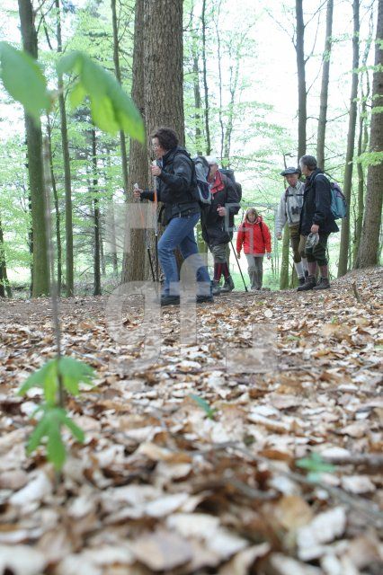 LG05_Wandern10_0142.JPG