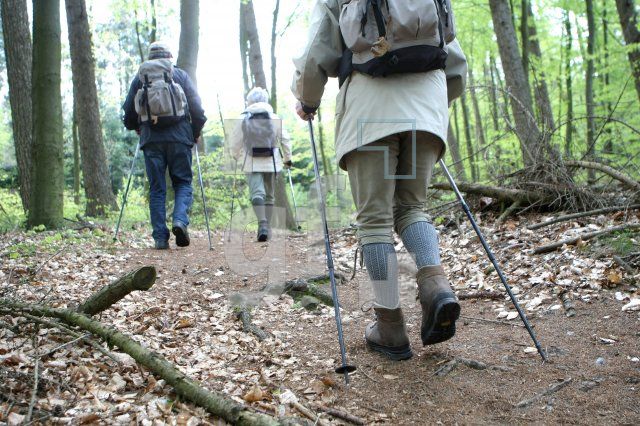 LG05_Wandern11_0148.JPG