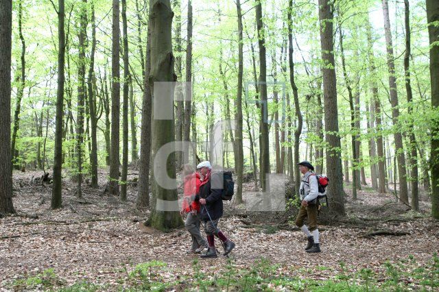 LG05_Wandern21_0126.JPG