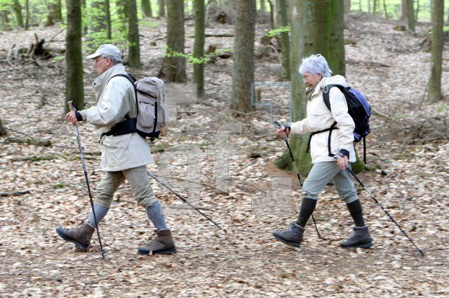 LG05_Wandern22_0132.JPG