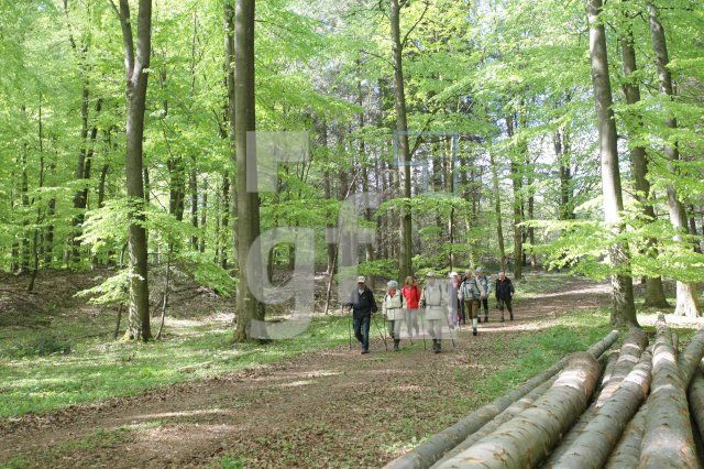 LG05_Wandern37_0179.JPG