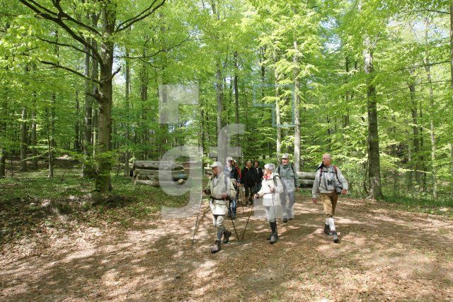 LG05_Wandern42_0107.JPG